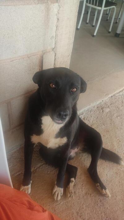 Restaurante Alto da Serra