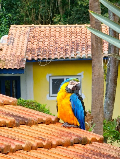 Restaurante e Pesqueiro Fazenda Esteio