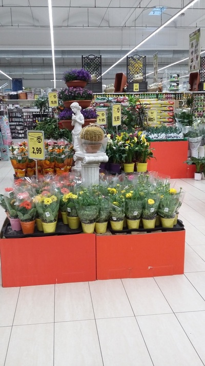 Il Gigante Supermercati