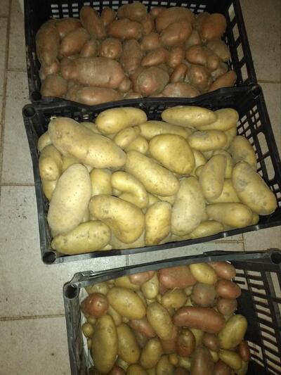 Centro Presenza "Ambesi Impiombato"