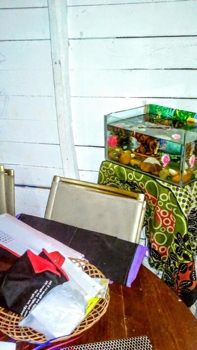 Dambagoda Homestay
