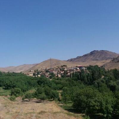 Safdari