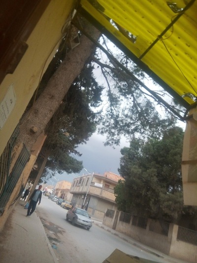 مطعم ال نوي