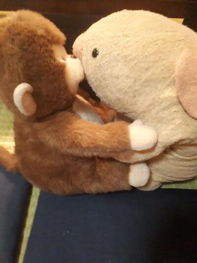 おっとっと