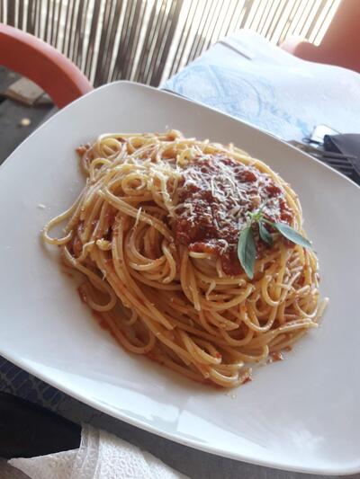 kompleksi leka ogici - SHITET PER ARSYE FAMILIARE