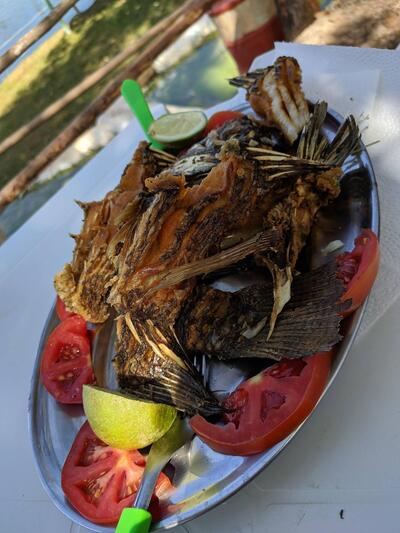 Pesque Pague do Naldo