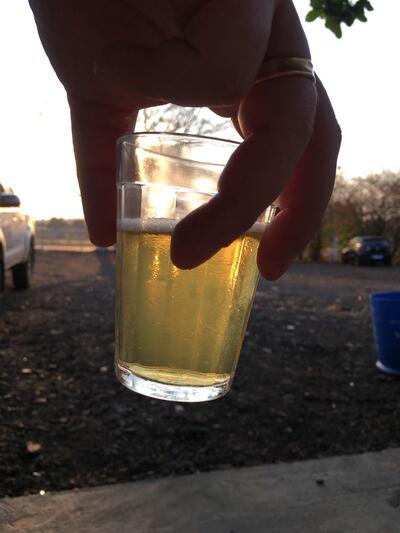 Pesqueiro Santo Antônio