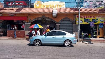 pollo pitudito 2