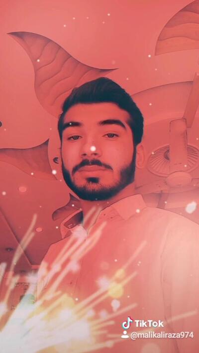 Nonar SFC sardari fried chicks
