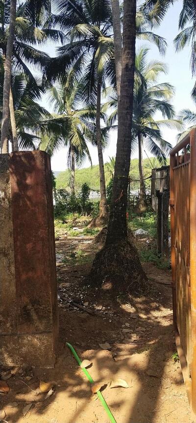 ROYAL BAR AND RESTAURANT