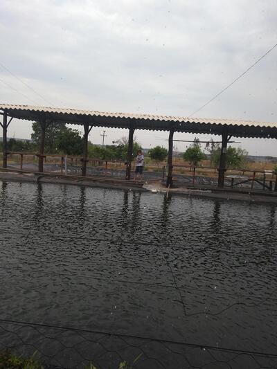 Pesqueiro São José