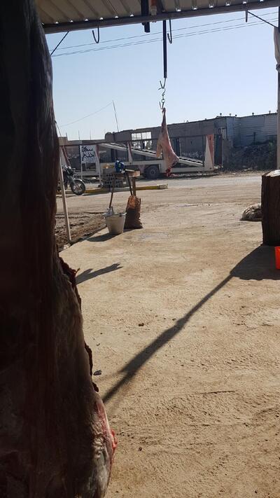 لحوم ومشويات العجيلي