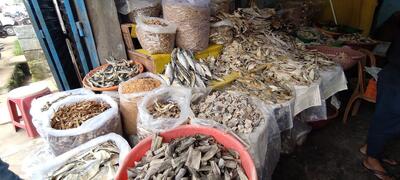 Dry fish store