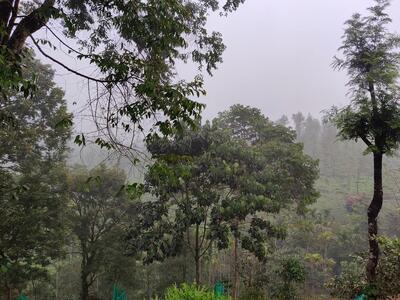 Green Garden Food Inn