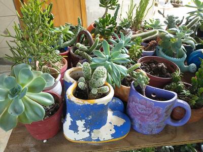 Restaurante Pôr do Sol