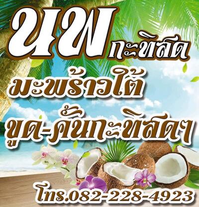 นพ กะทิสดมะพร้าว​ใต้