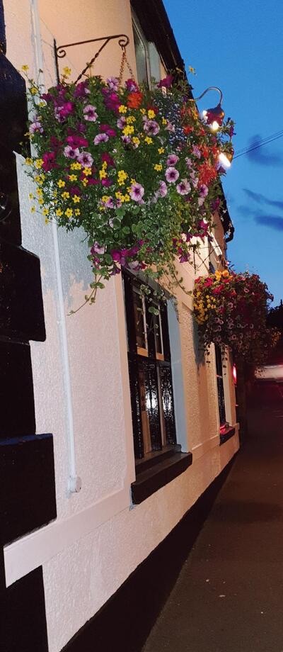 The Oddfellows Arms