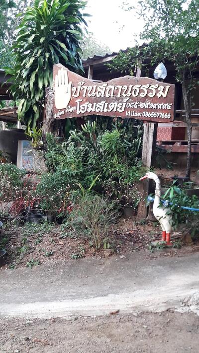 ครัวบ้านป่า