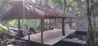 Chácara Pe João Boonekanp - Carapajó-PA
