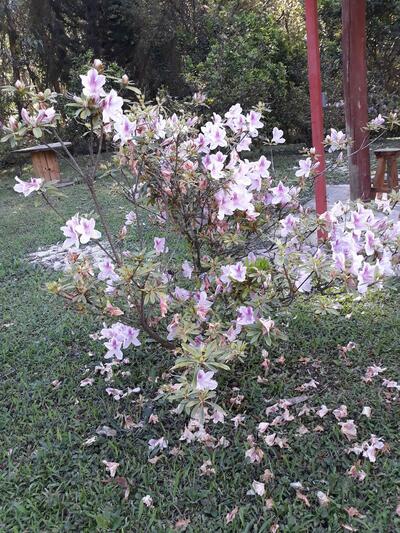 PARADA DA FONTE - Café, doces, vinhos, queijos, artesanatos e muito mais !