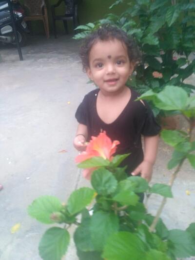 New roti Land family restaurant and dhabaa