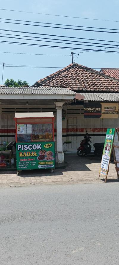 piscok iyuz