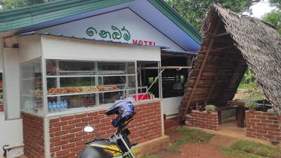 Nelum Kole