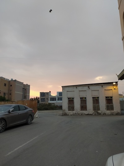 خباز ابو حميد