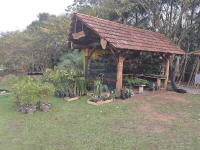 Mina Velha Pesque-Pague e Restaurante