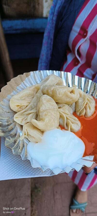 Darjeeling momos hudco