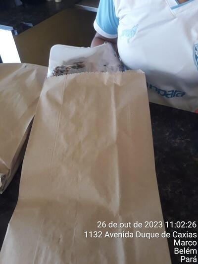 Peixe assado sem espinhas - Tambaqui e Companhia Duque