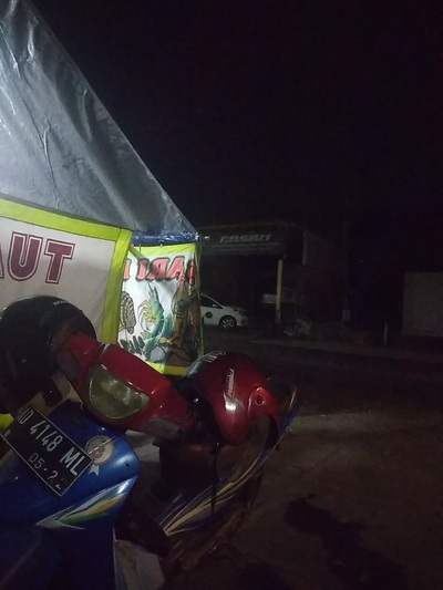 Sari laut dan pecel lele mbk ila