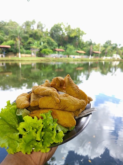 Pesqueiro Lago do Sol