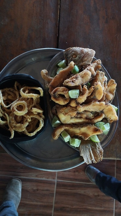 Sítio Serra Dourada Peixes