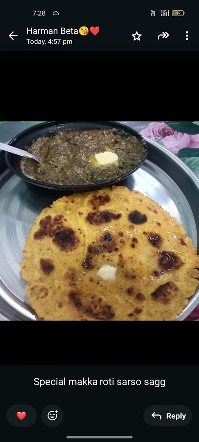 Desi Punjabi dhaba Punjabi food