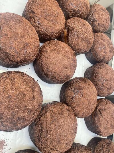 Forno Castagnoli di Massimo Antonelli