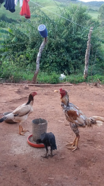 Churrascaria Casa Grande foto