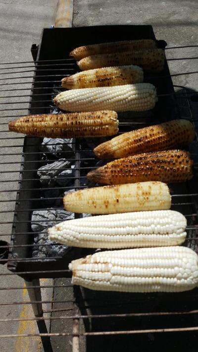 Elotes Chalon