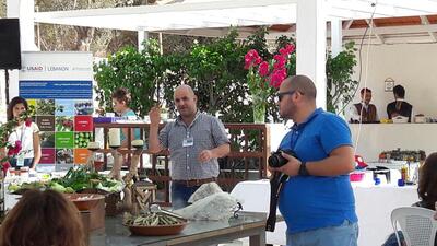 Olive harvest festival