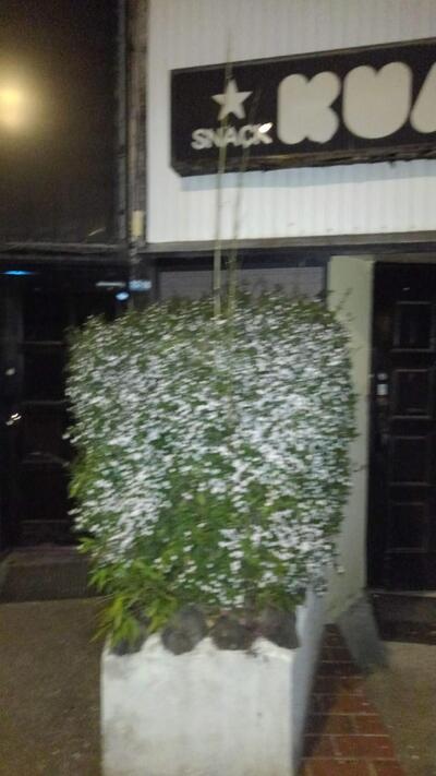 スナックＫＵＭＩ