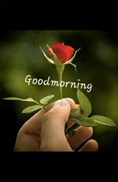 Silver Oak Restaurent photo