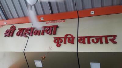Shree Maha Maya Krishi Bazar Pip photo