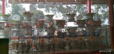 Rm Sikumbang 07