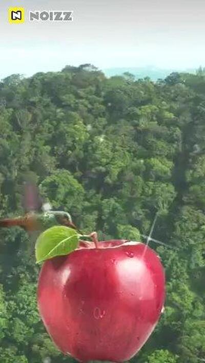 Churrascaria do Chico foto