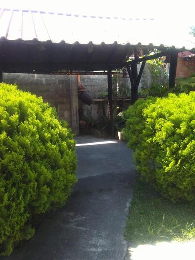 Los Locos Del Asado