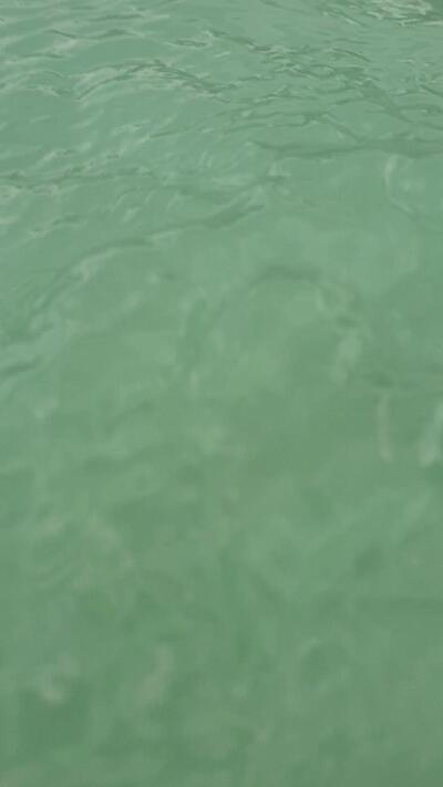 Livraison Pizza Tradition