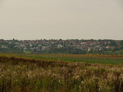 Gundi’s Besastüble