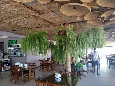 Lago dos Tambaquis Bar e Restaurante Matriz