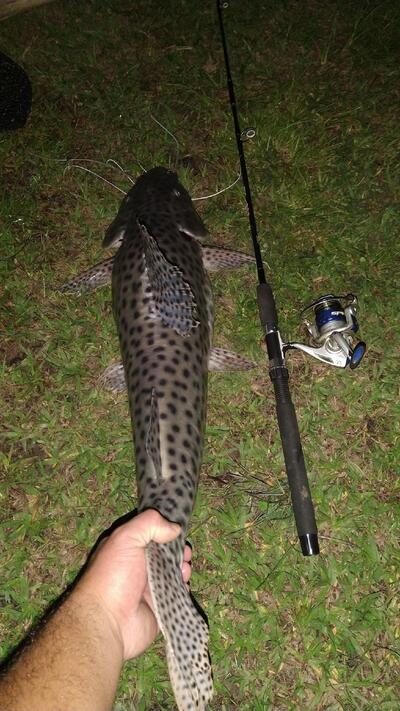 Pesque Pague Jacarandà