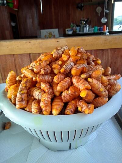 Flutuante do Bisteca